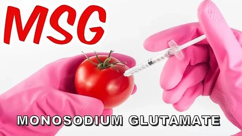 MSG Monosodium Glutamate