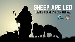 Sheep Are Led