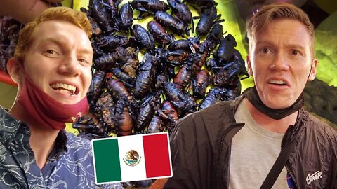 Eating Bugs in MEXICO CITY With My Brother! Mexico Travel Vlog
