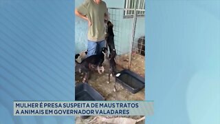 Morte de cães e urubus é investigada em Araçuaí
