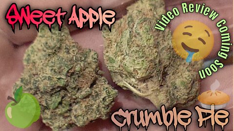 #107 Sweet Apple Crumble Pie (Video Review Coming Soon) Muv Dispensary Product