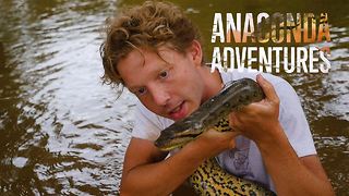 Deep in the Amazon: The snake hunter's anaconda quest