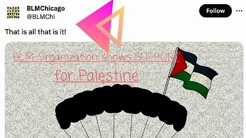 BLM announced they stand w/ Hamas and Palestine!