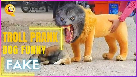 Insane Troll Pranks Gone Wild on Dogs with Fake Lion and Tiger 🤣