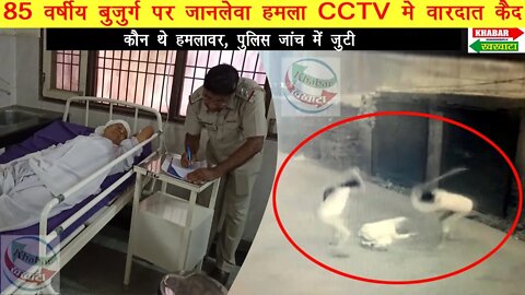 चरखी दादरी 85 वर्षीय बुजुर्ग पर जानलेवा हमला CCTV मे वारदात कैद | Charkhi Dadri CCTV Viral Video