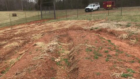 Conserving Water in a Temperate Climate For a Drought Proof Garden