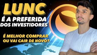 VALE A PENA COMPRAR LUNC PARA O LONGO PRAZO? [Assista para não se arrepender depois!]