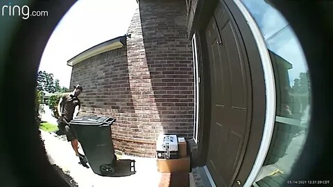 UPS delivery guy hiding my packages behind the trash can is a real one