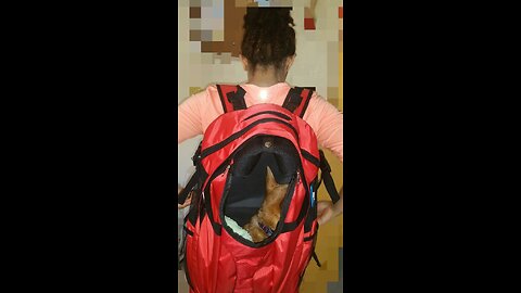 Lanperle Pet Carrier Backpack, Dog Backpack, Cat Backpack, Sport Rucksack for Pets, Safety Feat...