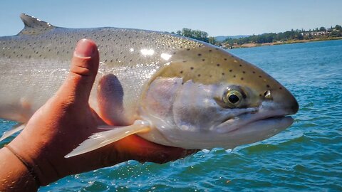 He Caught His FIRST STEELHEAD!