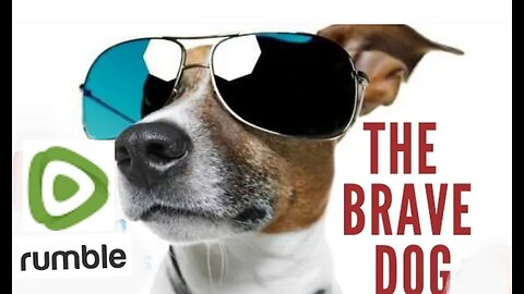 Brave Dog Funny Action video Dogs funny