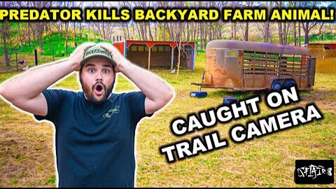 We’ve got our first DEATH on the new BACKYARD FARM. (This is war)