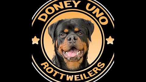 STUD AVAILABLE AT DONEYUNO ROTTIES.