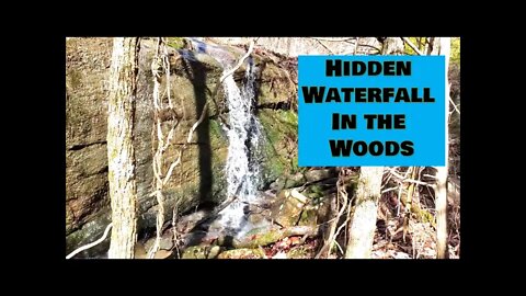 Antler shed hunt, woods walk, hidden waterfall, land update, fresh air & more @Southern Illinois