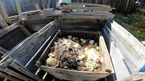 The Truth About Home Composting (Part 1)