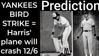 Prediction - YANKEES BIRD STRIKE = Harris’ plane will crash Dec 6