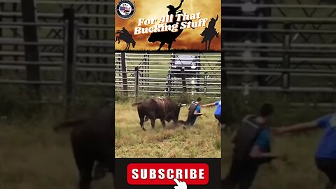 Don't Flip Out The Thrill of Bull Riding #bullriding #youtubeshorts #smalltownamerica