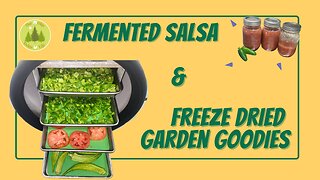 Fermented Salsa and Freeze Dried Garden Goodies