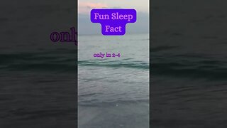 Beach Sleep Secret? 😴🏖️ | Surprising Fact Revealed! @AmbientNoiseCo. #beachvibes #facts #ocean