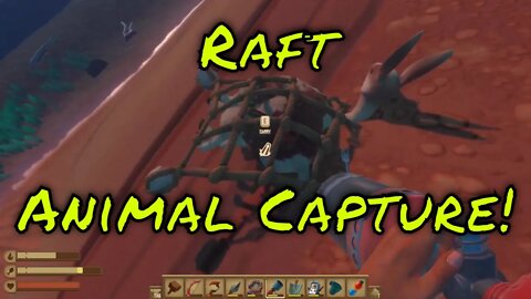 Raft How to Tame Animals