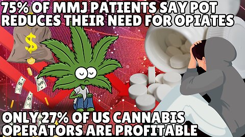 Three Out Of Four Patients Say Medical Marijuana Reduces Their Use Of Opioids And Painkillers