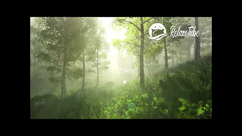 🎧 RELAXING MUSIC WITH FOREST SOUNDS TO OVERCOME STRESS AND INSOMNIA 🌳 SOUNDS OF NATURE 🕒 8 HOURS