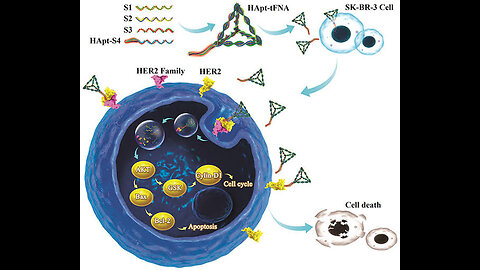 Revolutionizing Cell Exploration: DNA Nano-Robots as Subcellular Adventurers