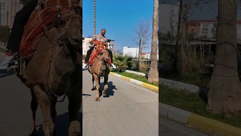 Rapper B W kane proves he has 'What it takes' - Riding a camel in Turkey