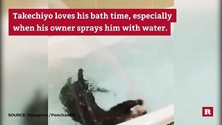 Otter Loves Bath Time FINAL