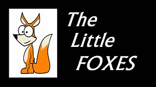 The Little FOXES!