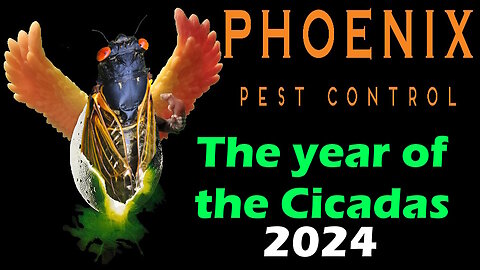 Cicada Invasion 2024: Maryville, TN - Everything You Need to Know