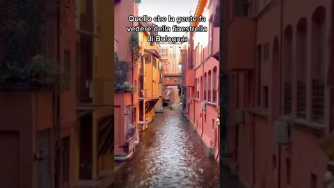 La finestra di Bologna nella realtà!