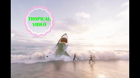 Tropical Video