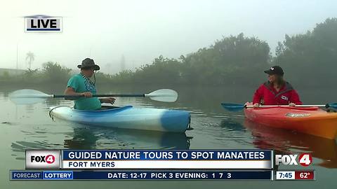 Guided Kayak Nature Tours help spot manatees in Southwest Florida - 7:30am live report