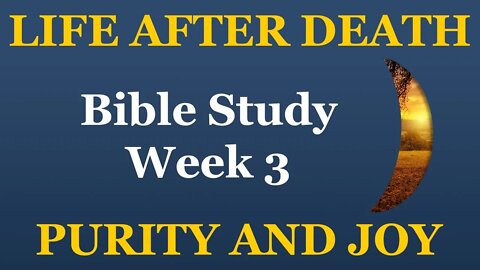 Life and Death: Purity and Joy (Week 3)
