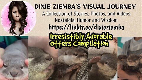 Irresistibly Adorable Otters Compilation 🦦