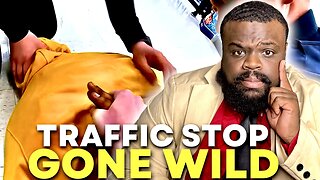 The Craziest Traffic Stop You Will See | Police Interactions