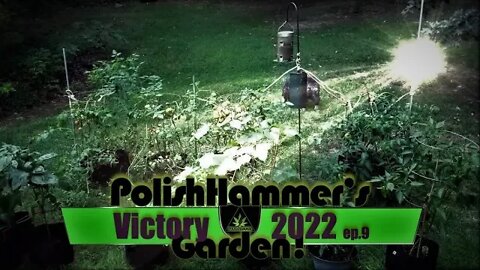 Victory Garden ep 9 "You say tomato I say tomahto!" 🍅🥒🥔🔨😎