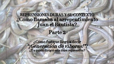 REPRENSIONES DURAS Y SU CONTEXTO (Parte 8): "¡Generación de víboras!" - Parte 2