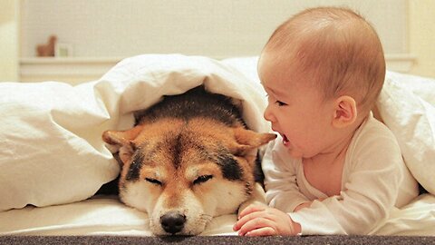 Baby and dog show love for one another