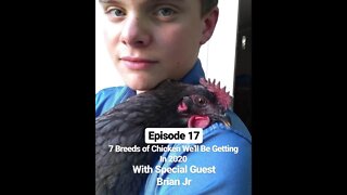 S1E17 Chickens 101 Part 2 The 7 Breeds of Chicken We're Getting This Year wSpecial Guest Brian J