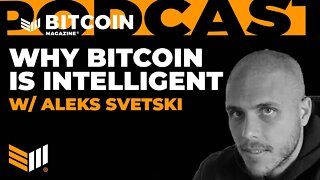 Why Bitcoin is Intelligent w/ Aleks Svetski