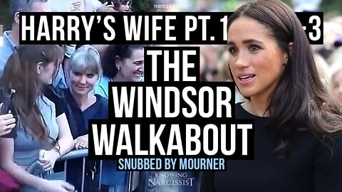 Harry´s Wife 101.13.3 Windsor Walkabout : Snubbed : Video Analysis(Meghan Markle)
