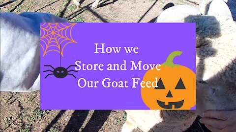 How we store and move our goat feed