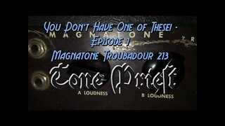 You Don't Have One of These! - Episode 1: Magnatone Troubadour 213 in a 15" combo cab