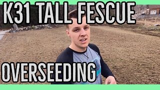 Overseeding our Front Lawn with K31 Tall Fescue ||Agri-Fab 85LB Spreader||