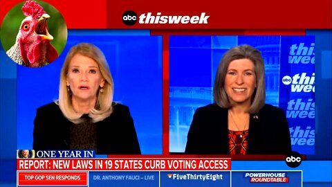 Voter "Suppression" Facts Make Martha Raddatz Squawk