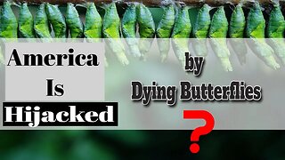 America Is Hijacked by Dying Butterflies