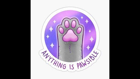 With a cat, anything is paw-sible (Hilarious)