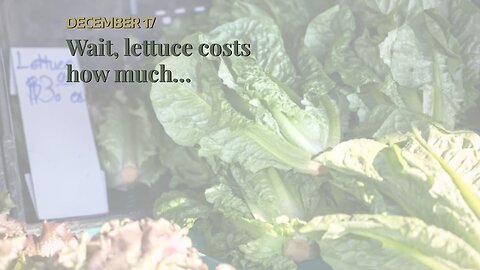 Wait, lettuce costs how much…